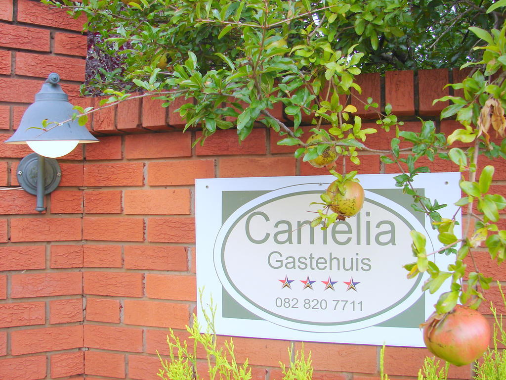 Camelia Guest House Bloemfontein Kültér fotó