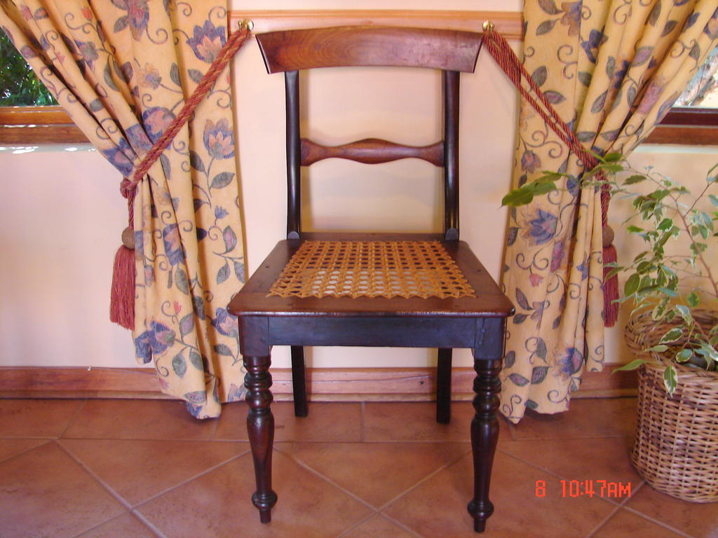 Camelia Guest House Bloemfontein Kültér fotó