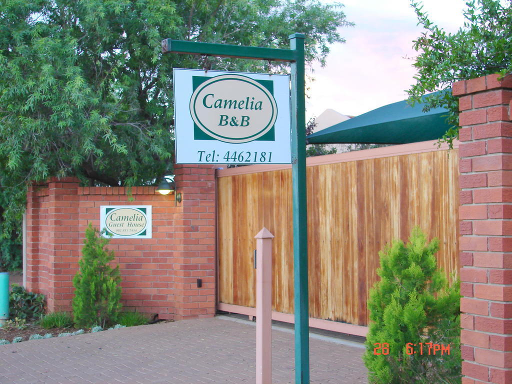 Camelia Guest House Bloemfontein Kültér fotó